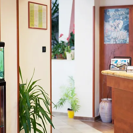 Vinka ゲストハウス 3*