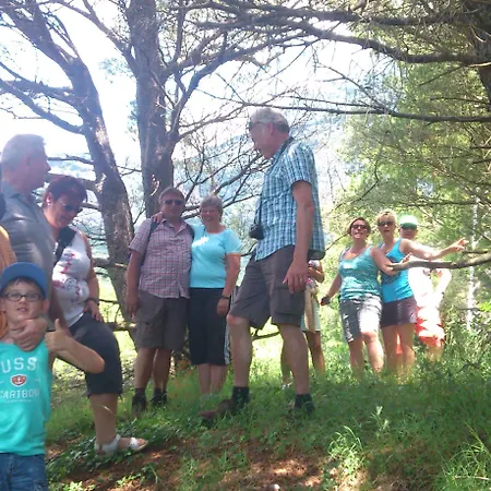 ゲストハウス Vinka