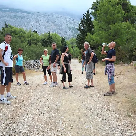 Vinka ゲストハウス