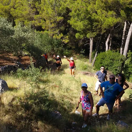 בית הארחה Vinka