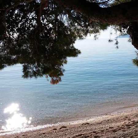 בית הארחה Vinka