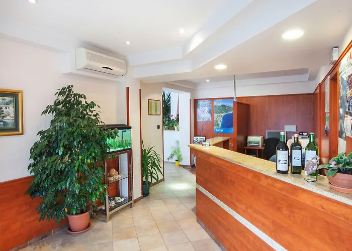 Vinka Casa de hóspedes