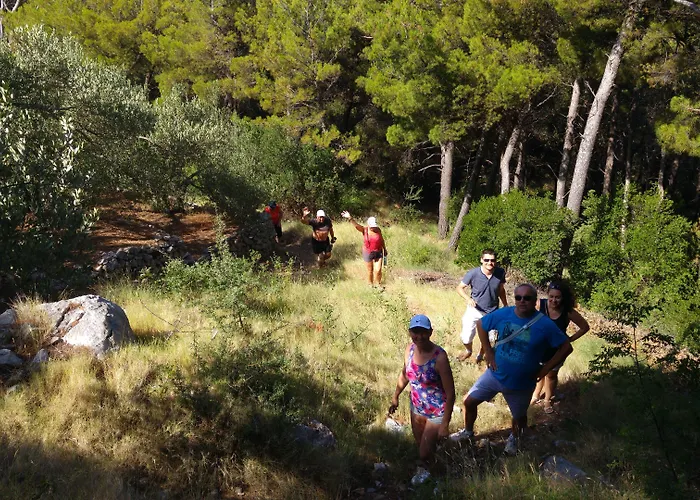 بيت ضيافة Vinka