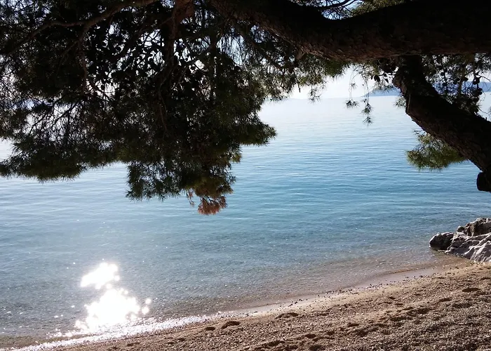 بيت ضيافة Vinka