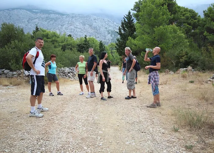 Vinka بيت ضيافة